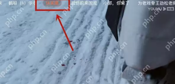 优酷视频弹幕颜色怎么设置