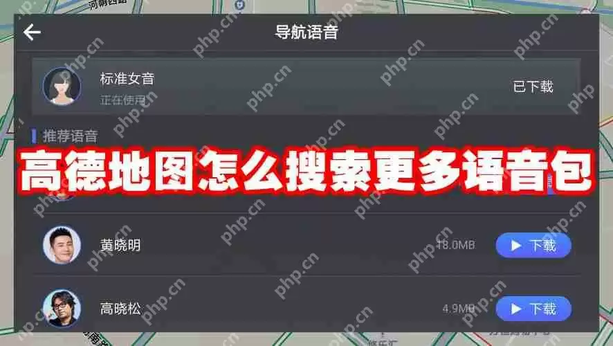 高德地图怎么搜索更多语音包