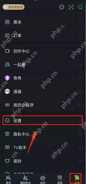 爱奇艺视频缓存路径怎么设置