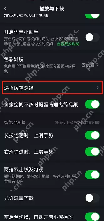 爱奇艺视频缓存路径怎么设置