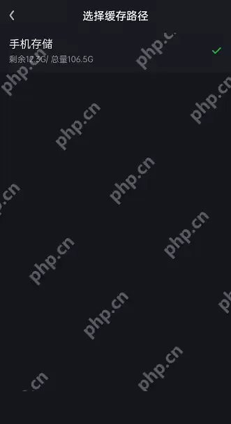 爱奇艺视频缓存路径怎么设置