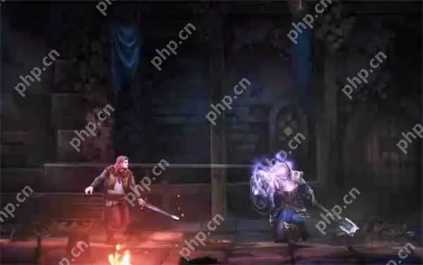 秘影曼德拉全部职业能力介绍说明