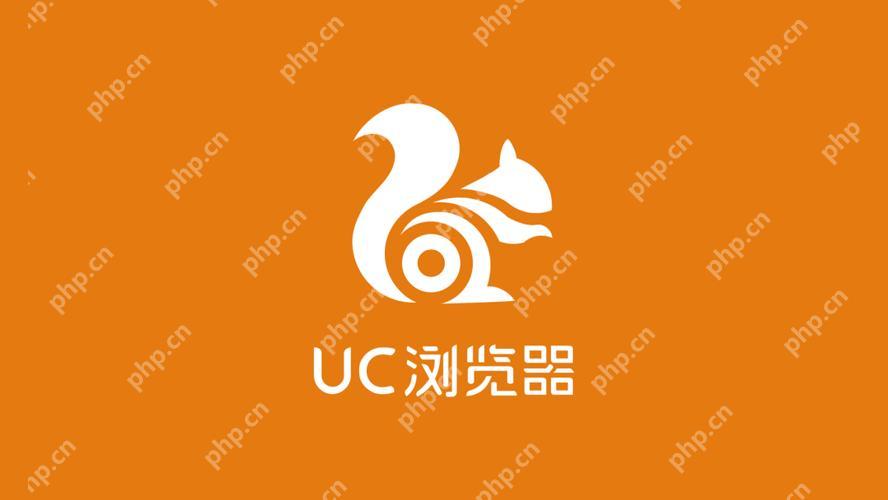 手机uc浏览器缓存的视频怎么导出