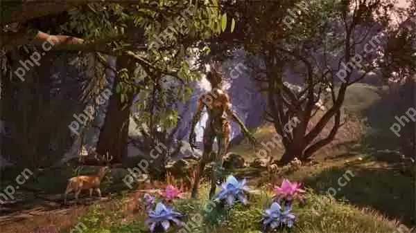 上古卷轴4重制版法师升级加点攻略