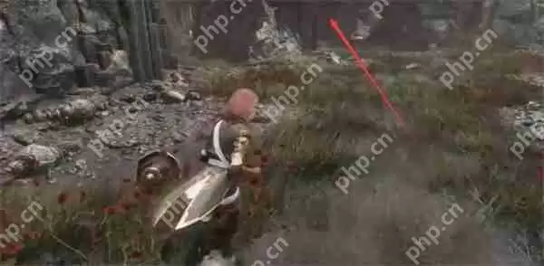 光与影33号远征队全部商人位置分享