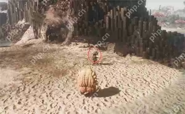 光与影33号远征队全部商人位置分享