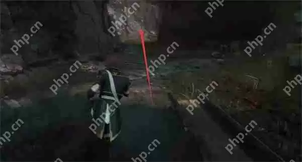 光与影33号远征队全部商人位置分享