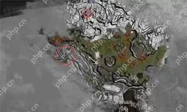 光与影33号远征队全部商人位置分享