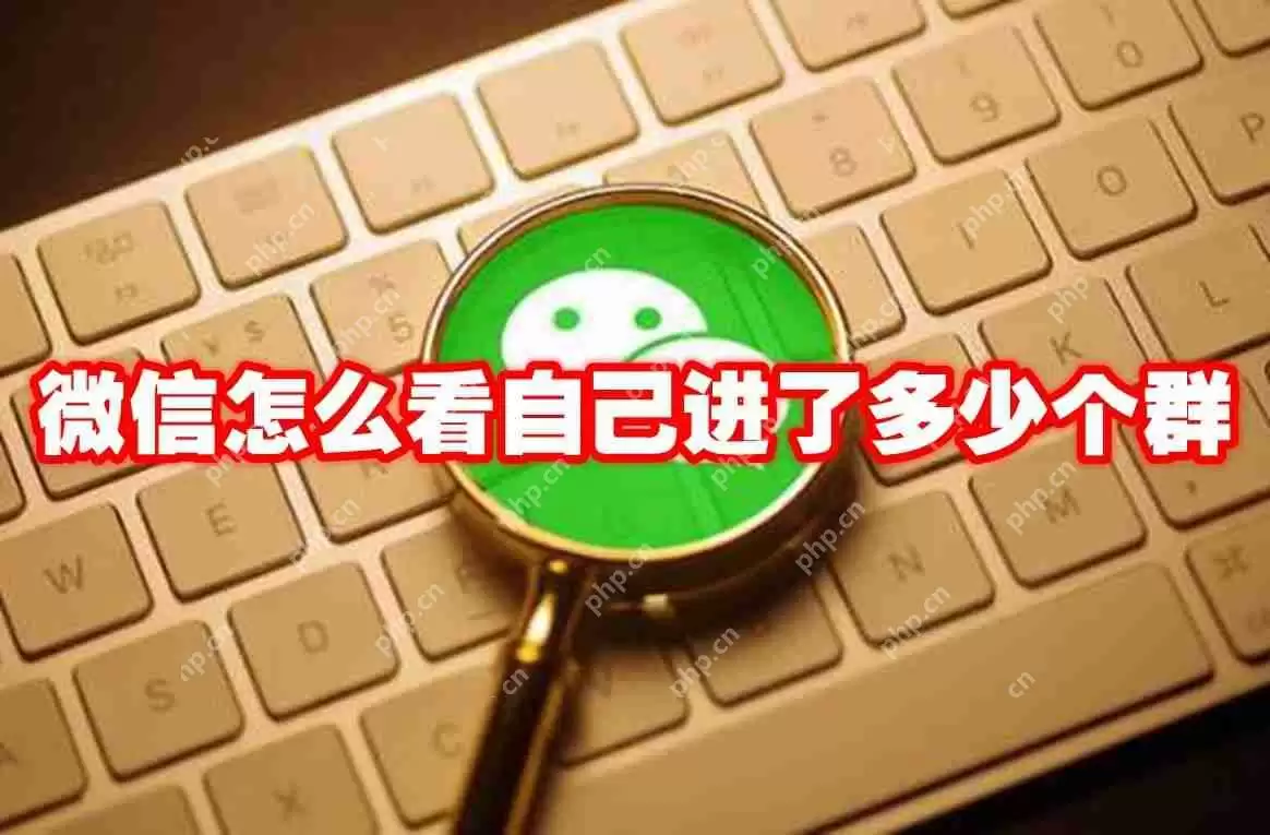 微信怎么看自己进了多少个群