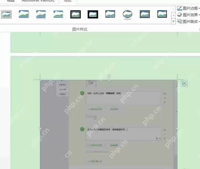 Word2016文档中的图片怎么调整亮度?