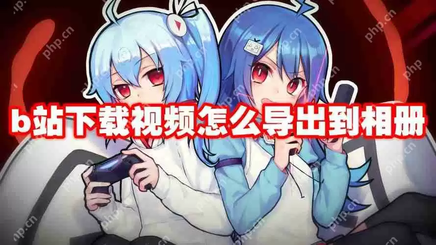 b站下载视频怎么导出到相册