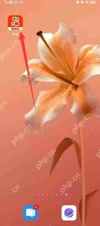 快手免密支付怎么开启