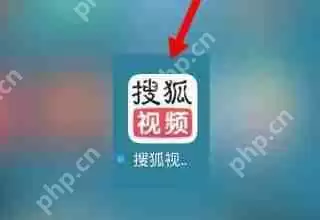 搜狐视频怎么投屏到电视上