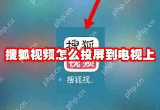 搜狐视频怎么投屏到电视上