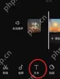 剪映如何识别声音生成字幕