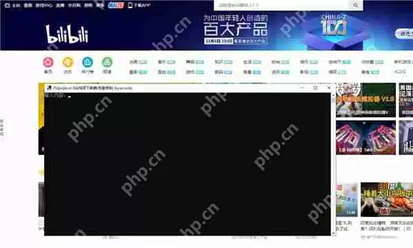 电脑上怎么下载b站的视频？bilibili网页下载视频的方法