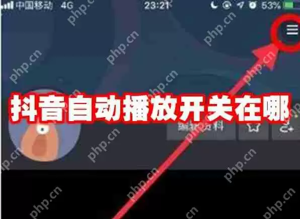 抖音自动播放开关在哪