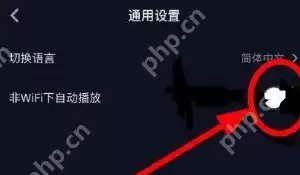 抖音自动播放开关在哪