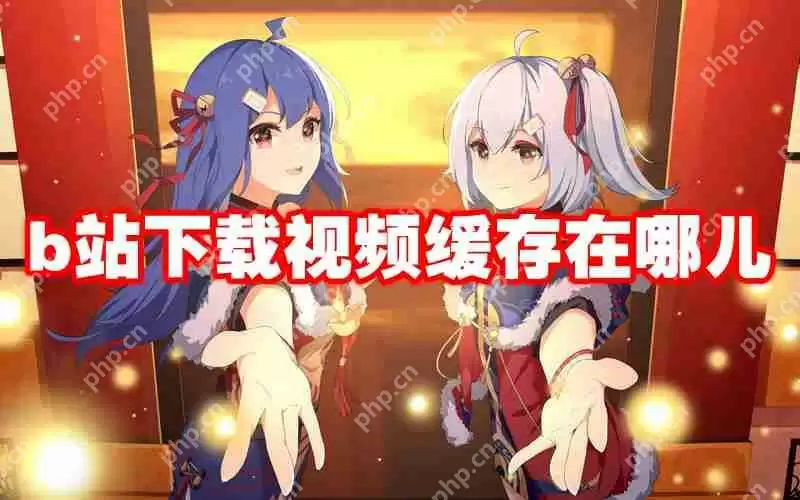 b站下载视频缓存在哪儿