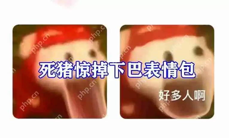 死猪惊掉下巴表情包图片有哪些