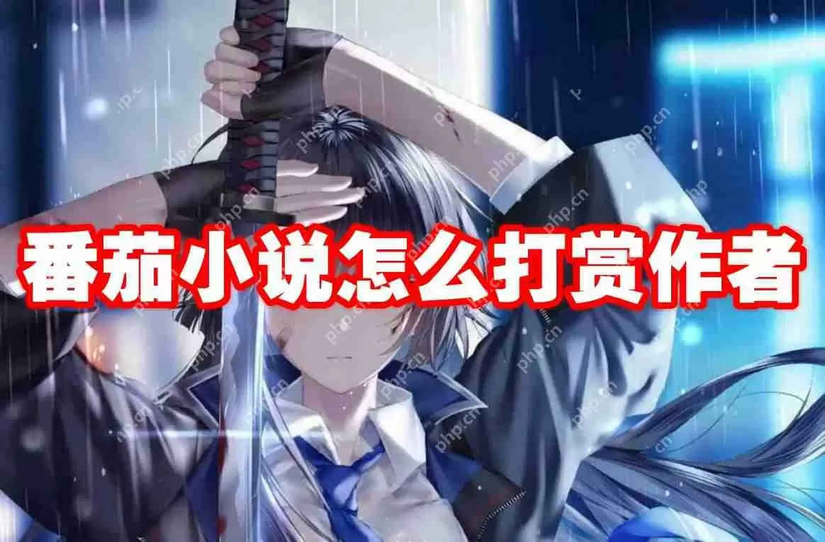 番茄小说怎么打赏作者