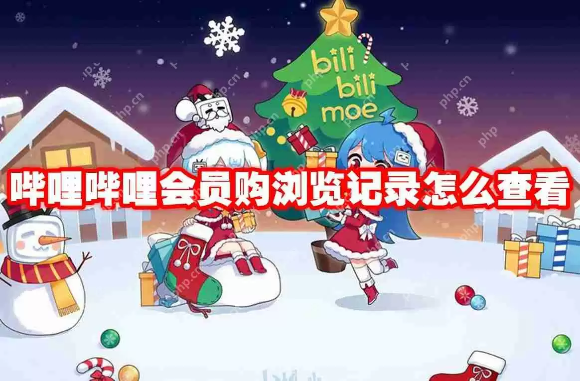 哔哩哔哩会员购浏览记录怎么查看