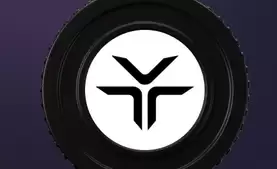 DEXE币官方地址是多少_DEXE币官方地址