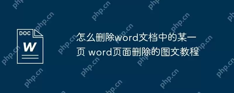 怎么删除word文档中的某一页 word页面删除的图文教程