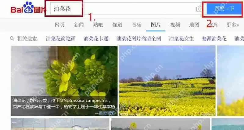 edge浏览器如何找图并获取复制链接