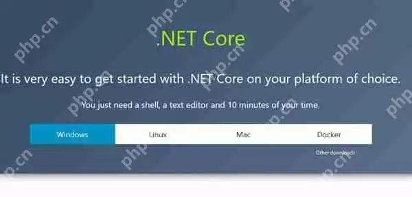 微软跨平台.NET Core 2.0版发布