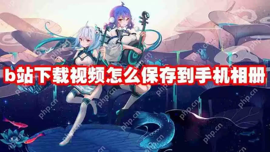 b站下载视频怎么保存到手机相册