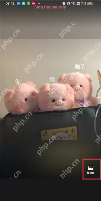 微信背景动态壁纸设置在哪里