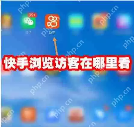 快手浏览访客在哪里看