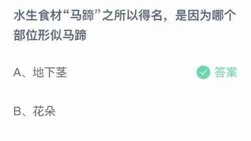 支付宝蚂蚁庄园11月1日小鸡课堂答案