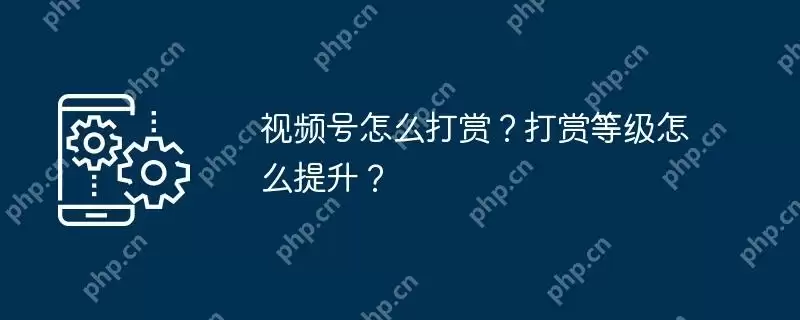 视频号怎么打赏？打赏等级怎么提升？
