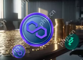 pol币和马蹄币的关系 pol币的投资价值