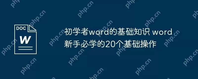 初学者word的基础知识 word新手必学的20个基础操作