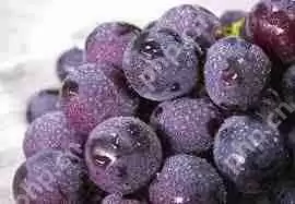 葡萄上的白霜是什么