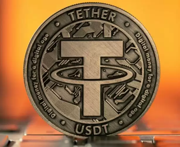 社区与项目深度参与