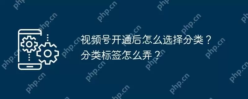 视频号开通后怎么选择分类？分类标签怎么弄？