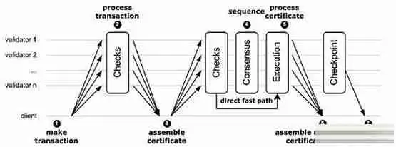 Move系3公链Sui、Aptos和Movement之间有何真正区别