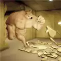 后室逃脱2
