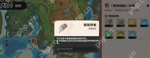 洛克王国露天对战珍蓓必胜攻略：克制阵容 + 实战技巧解析