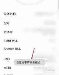 荣耀开发者模式怎么打开