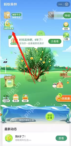 支付宝蚂蚁森林六周年回顾在哪看