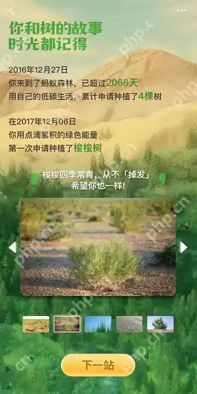 支付宝蚂蚁森林六周年回顾在哪看