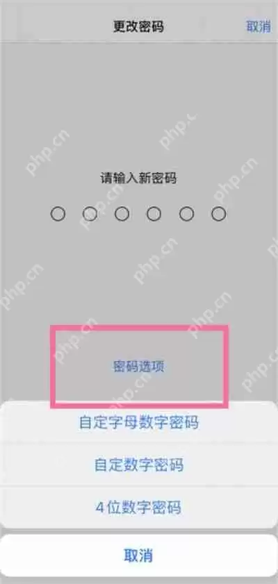 iPhone13系列怎么使用四位数密码