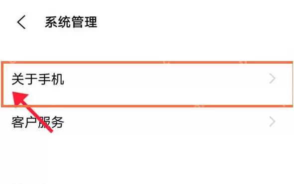 vivo手机工程模式怎么启动