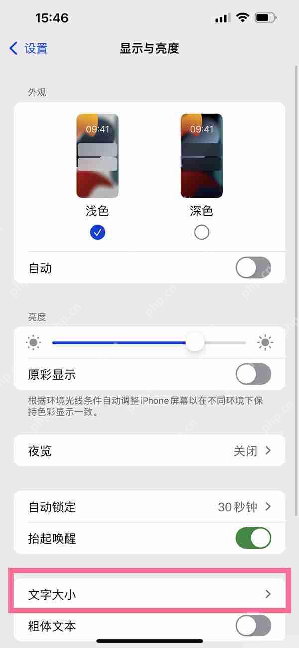 苹果手机字体风格怎么改