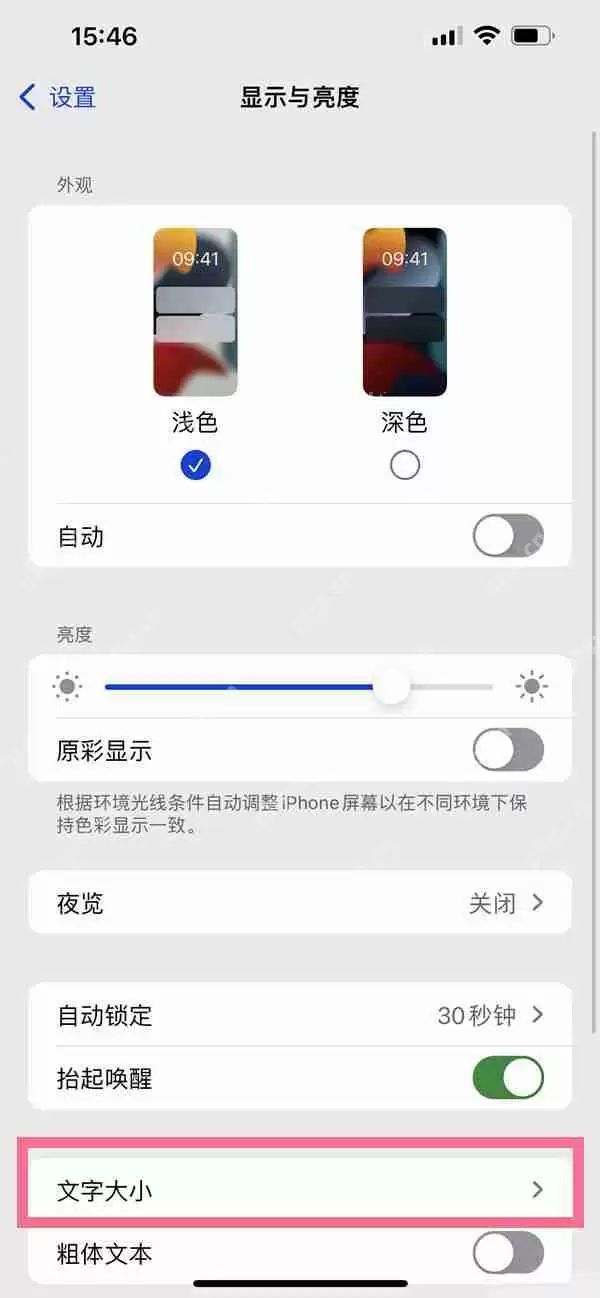 苹果手机字体风格怎么改